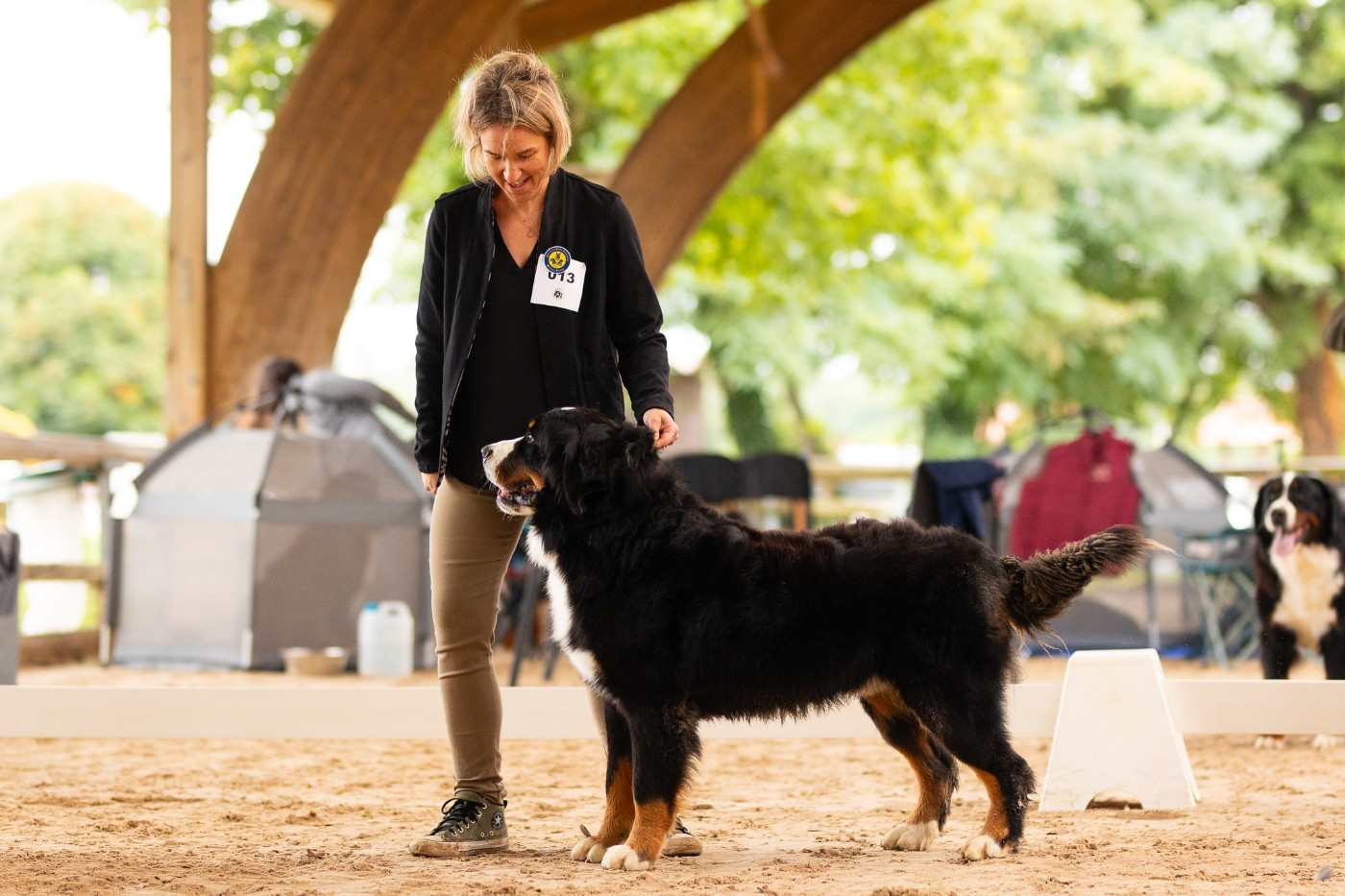 Rufin bernenska sfora