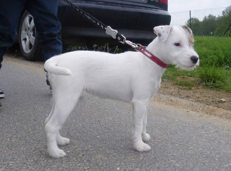 Publication : La vallée de l'echiquier