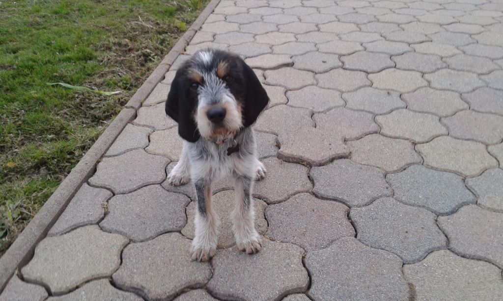 Publication : La vallée de l'echiquier