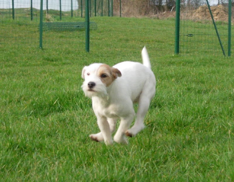 Publication : La vallée de l'echiquier