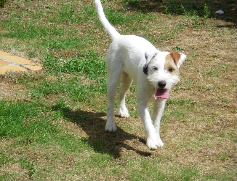 Publication : La vallée de l'echiquier