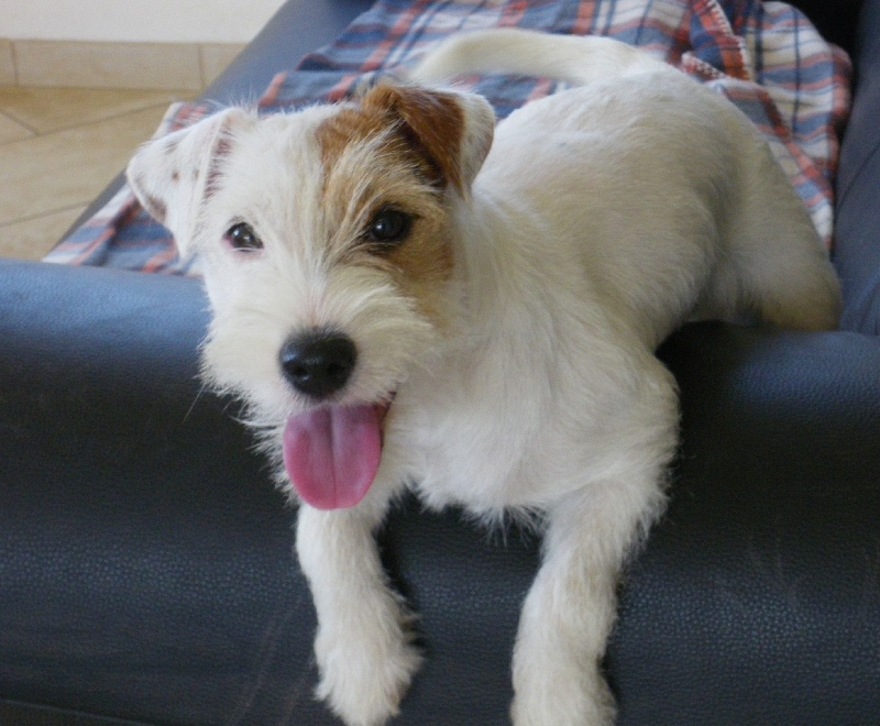 Publication : La vallée de l'echiquier