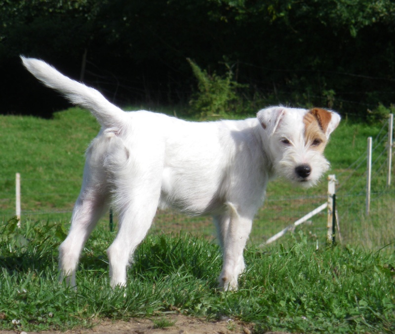 Publication : La vallée de l'echiquier