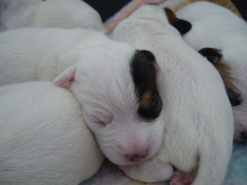 Publication : La vallée de l'echiquier