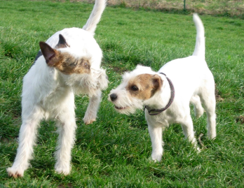 Publication : La vallée de l'echiquier