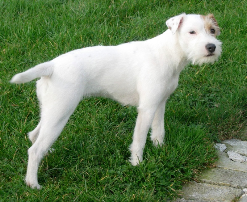 Publication : La vallée de l'echiquier