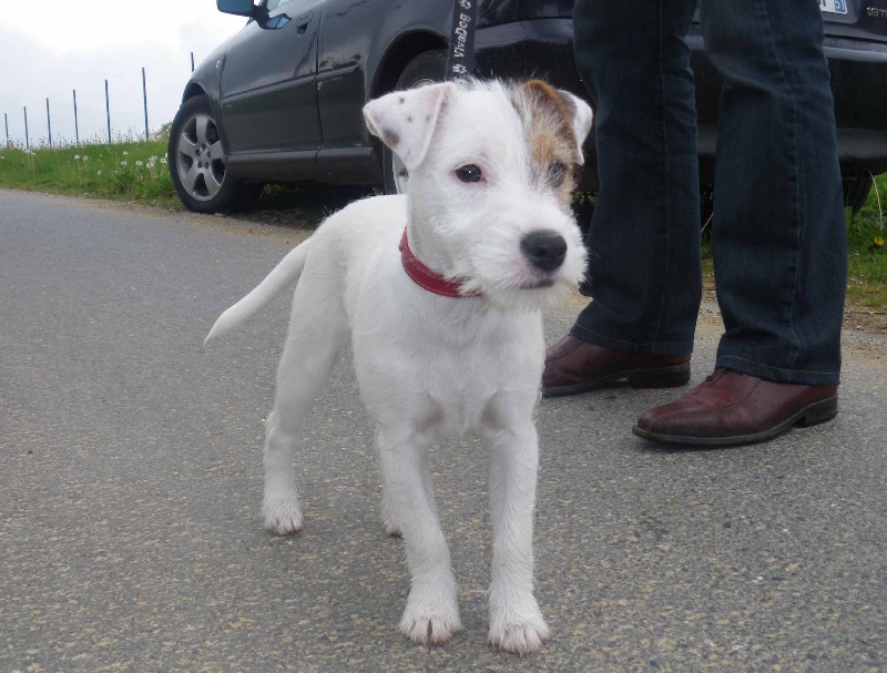 Publication : La vallée de l'echiquier