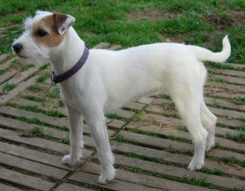 Publication : La vallée de l'echiquier