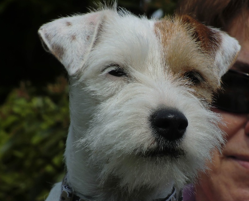 Publication : La vallée de l'echiquier