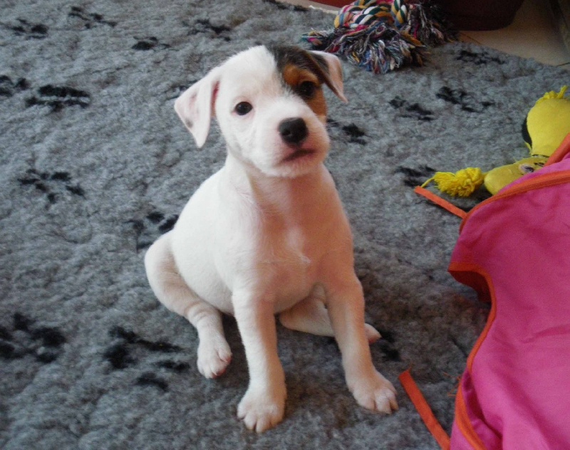 Publication : La vallée de l'echiquier