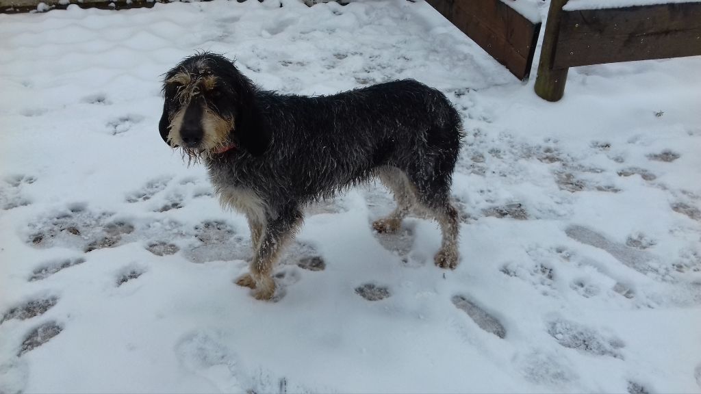 Publication : La vallée de l'echiquier