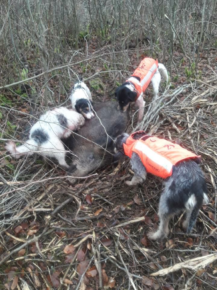 Publication : La vallée de l'echiquier