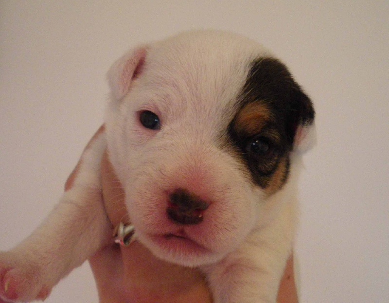 Publication : La vallée de l'echiquier