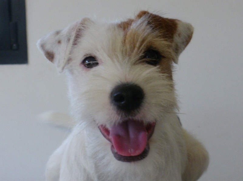 Publication : La vallée de l'echiquier