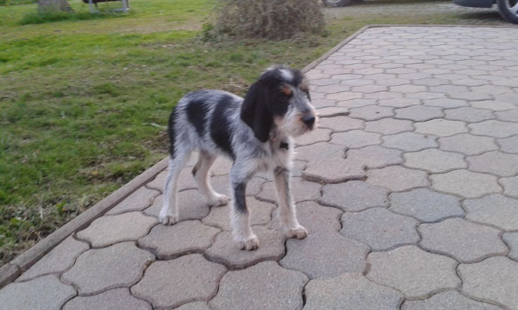 Publication : La vallée de l'echiquier