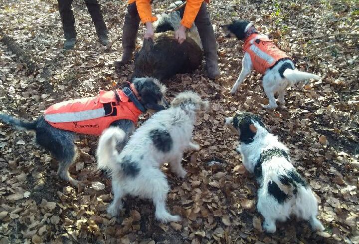 Publication : La vallée de l'echiquier