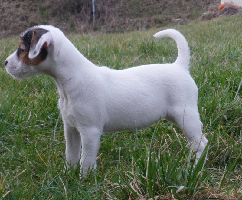 Publication : La vallée de l'echiquier