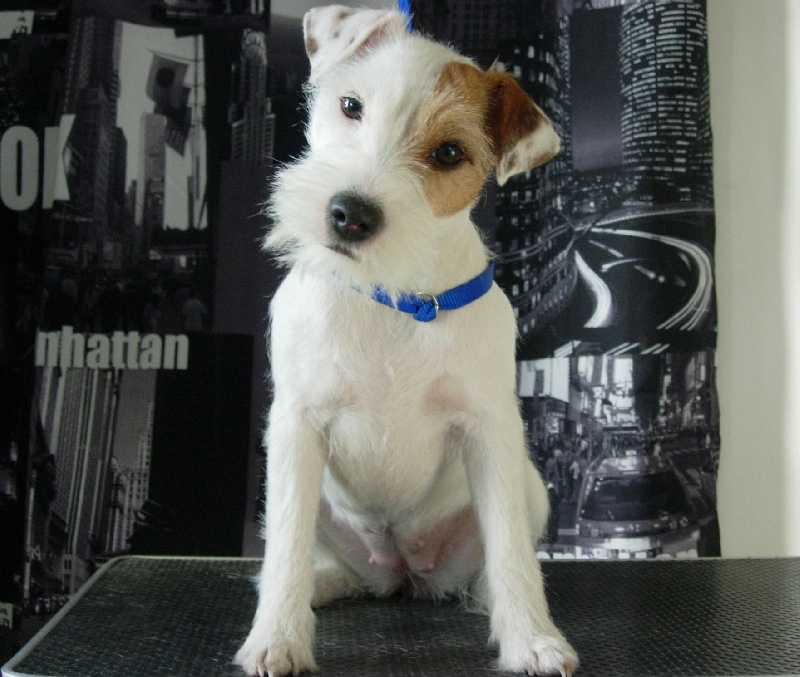 Publication : La vallée de l'echiquier