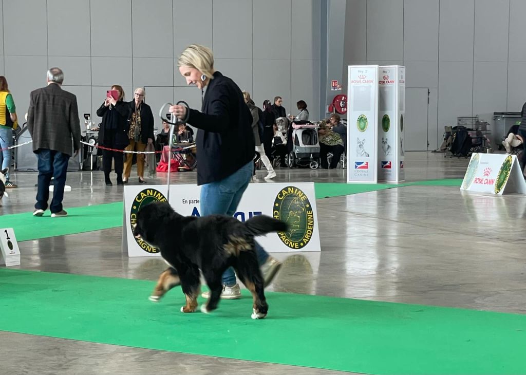 Vitamine (Sans Affixe) - 1er très prometteur+ Meilleur baby