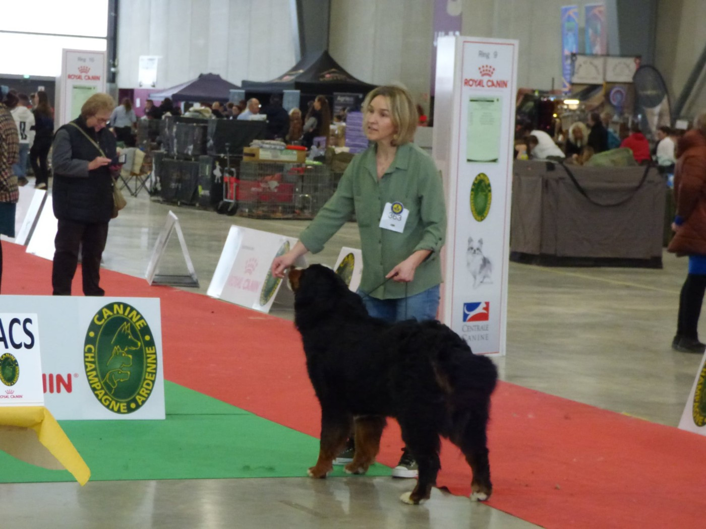 Vitamine (Sans Affixe) - 2ème excellent en CJF