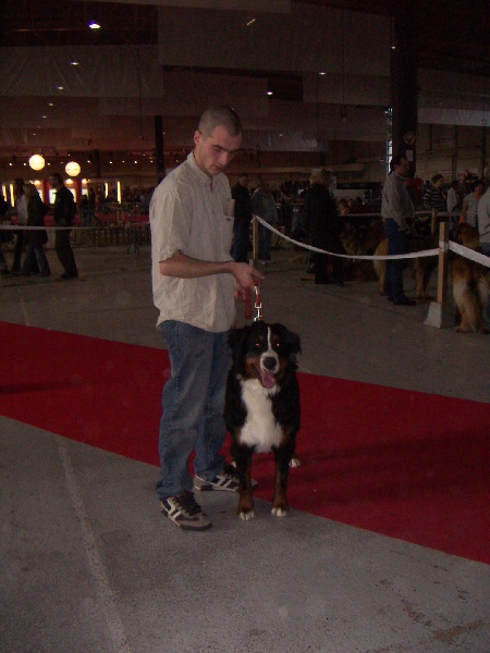 Bipsie Des hautes vernades - 2 ème très bon classe jeune