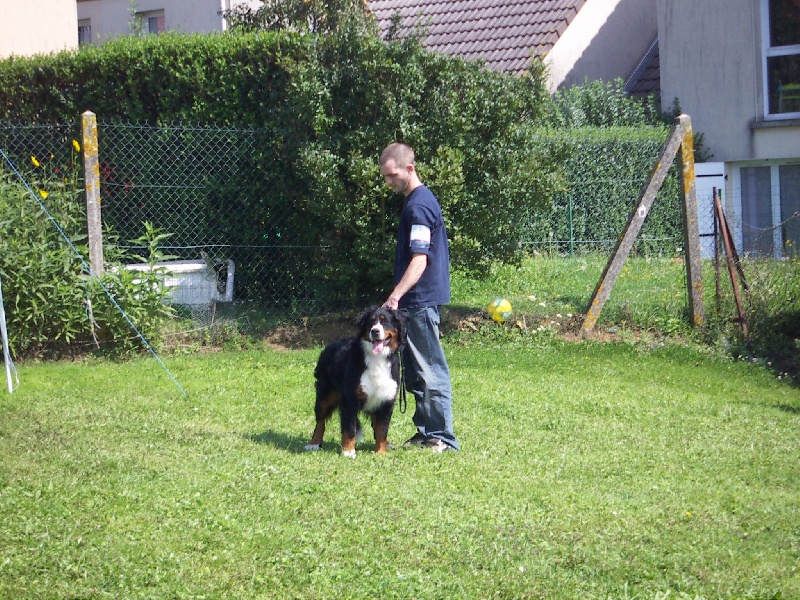 Bora Des hautes vernades - 1er excellent classe jeune