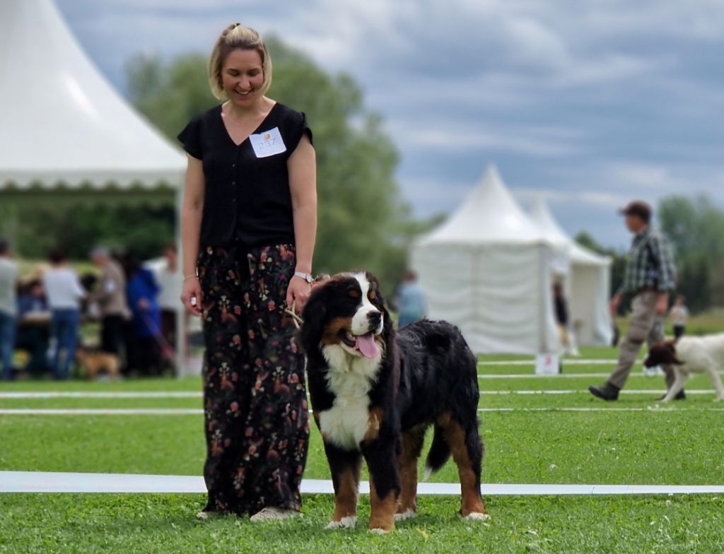 Urban legend de La Vallée Du P'tit R'eve - 1er très prometteur+ Meilleur puppy