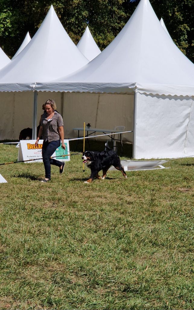 Savane de La vallée de l'echiquier - 3eme excellent en COF