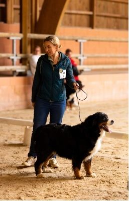 Savane de La vallée de l'echiquier - Très bon en COF