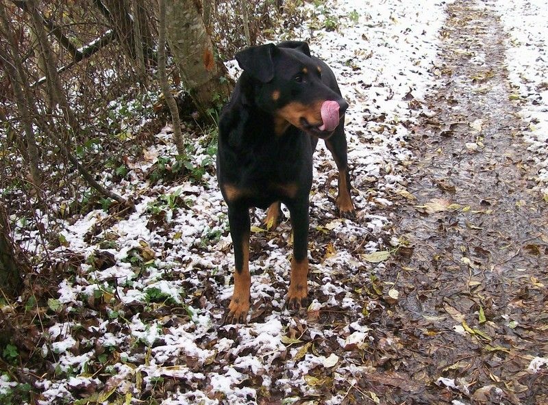 I'juanita (nita) de vag-ner's mémory