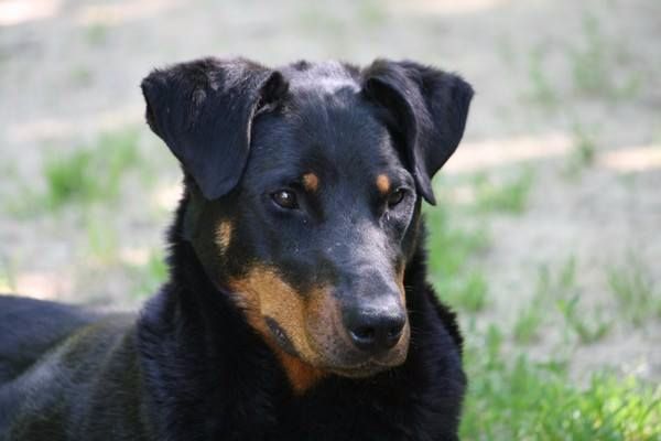 I'juanita (nita) de vag-ner's mémory