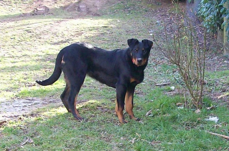 I'juanita (nita) de vag-ner's mémory