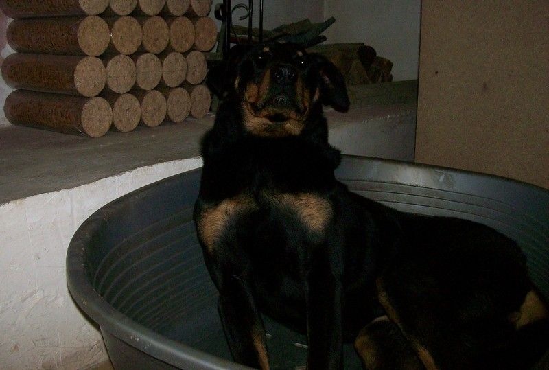 I'juanita (nita) de vag-ner's mémory