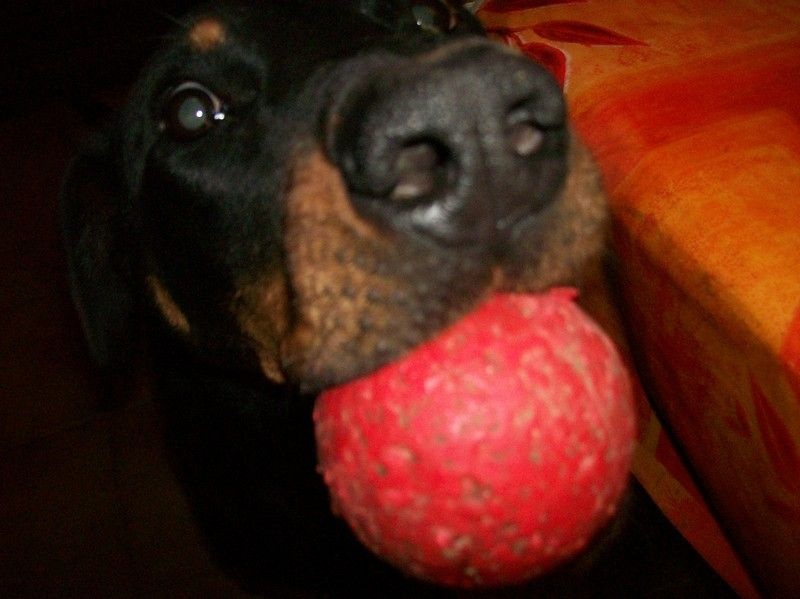 I'juanita (nita) de vag-ner's mémory