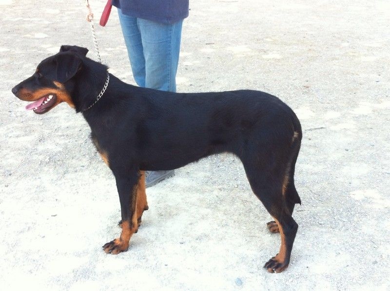 I'juanita (nita) de vag-ner's mémory