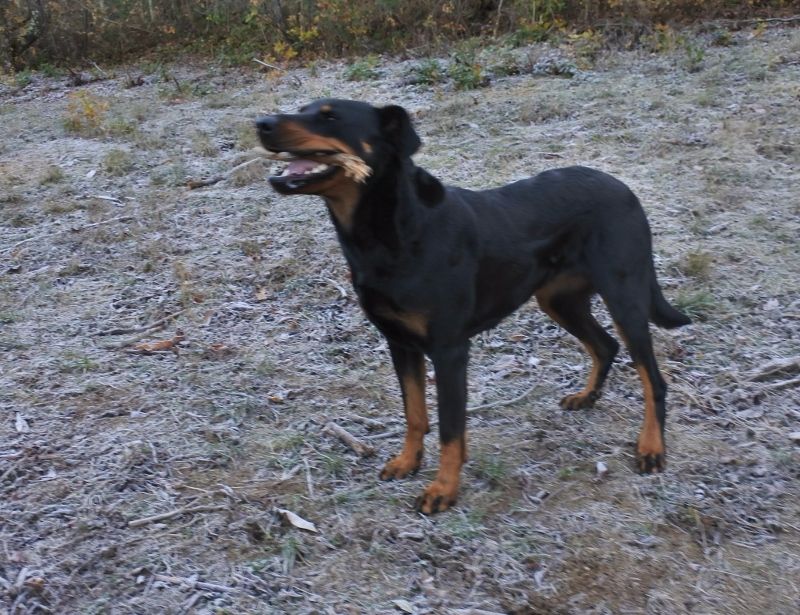 I'juanita (nita) de vag-ner's mémory