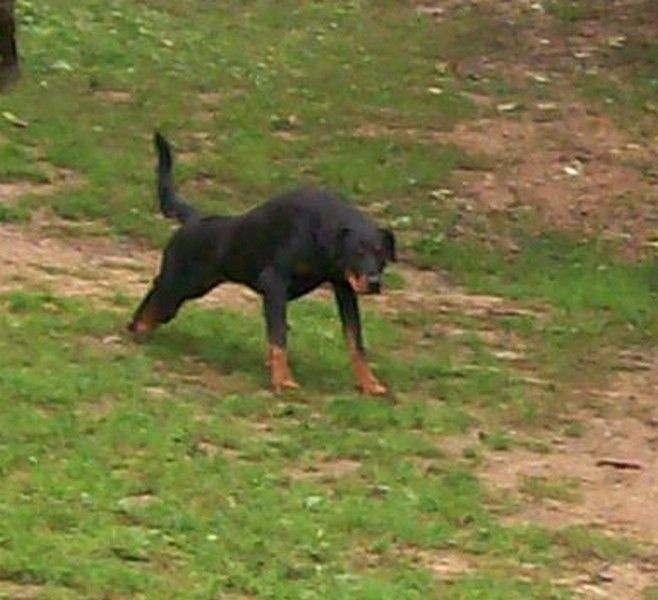 I'juanita (nita) de vag-ner's mémory