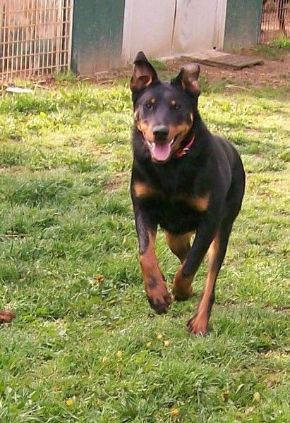 I'juanita (nita) de vag-ner's mémory