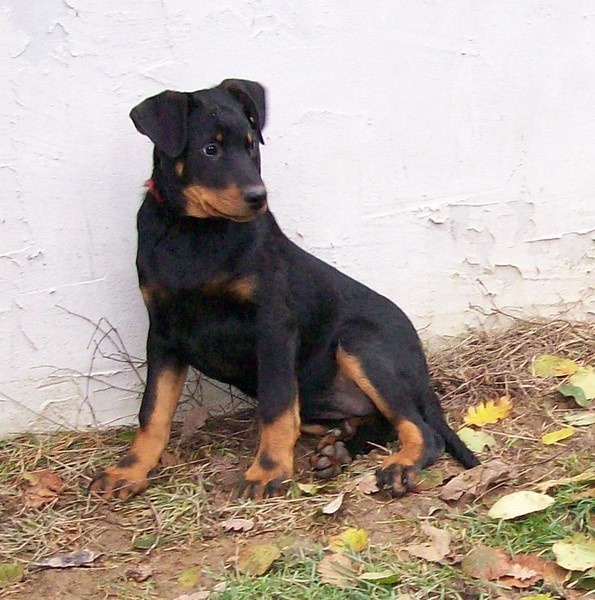 I'juanita (nita) de vag-ner's mémory