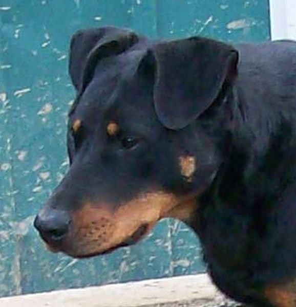 I'juanita (nita) de vag-ner's mémory