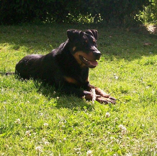 I'juanita (nita) de vag-ner's mémory