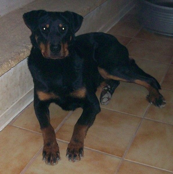 I'juanita (nita) de vag-ner's mémory