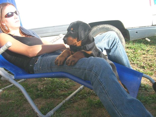 Fuertès (brevet ring) de vag-ner's mémory