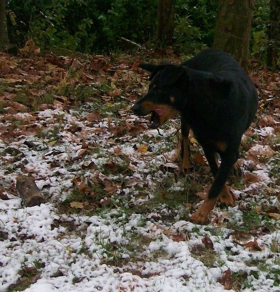 I'juanita (nita) de vag-ner's mémory