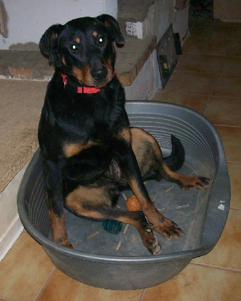 I'juanita (nita) de vag-ner's mémory