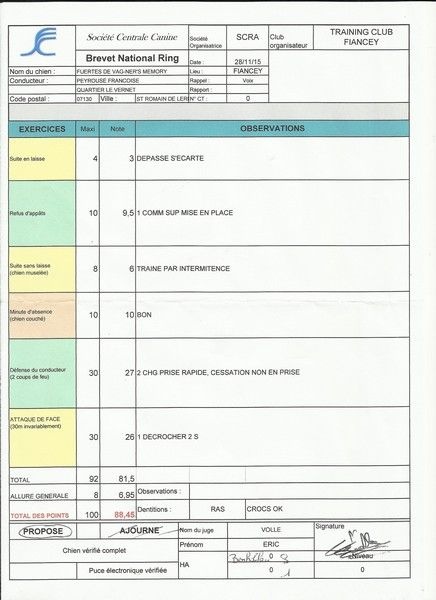 Fuertès (brevet ring) de vag-ner's mémory