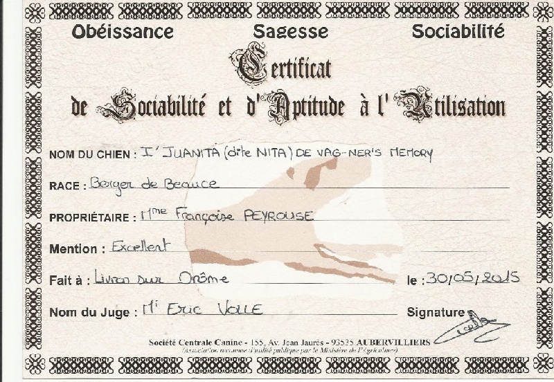 I'juanita (nita) de vag-ner's mémory