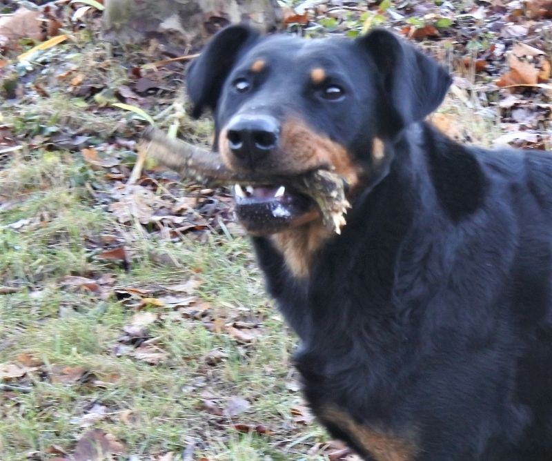 I'juanita (nita) de vag-ner's mémory