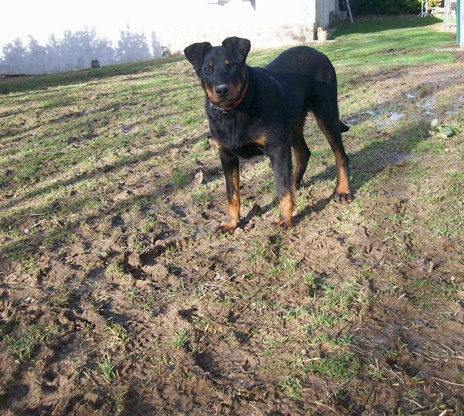 I'juanita (nita) de vag-ner's mémory