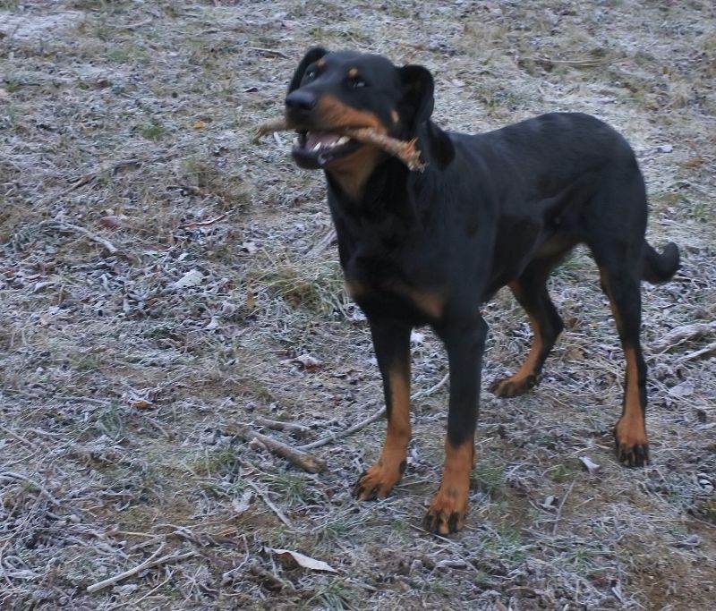 I'juanita (nita) de vag-ner's mémory